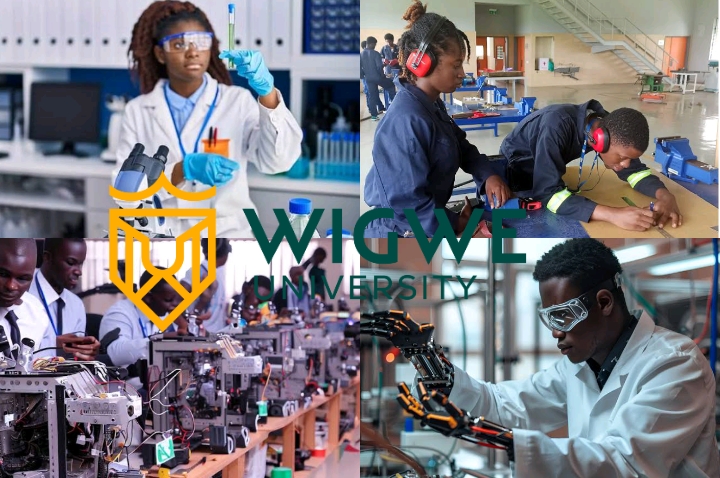Courses Offered in Wigwe University