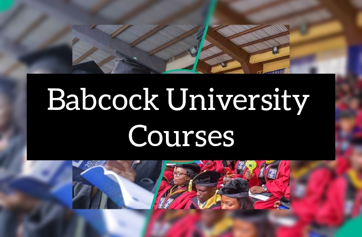 Babcock University Courses