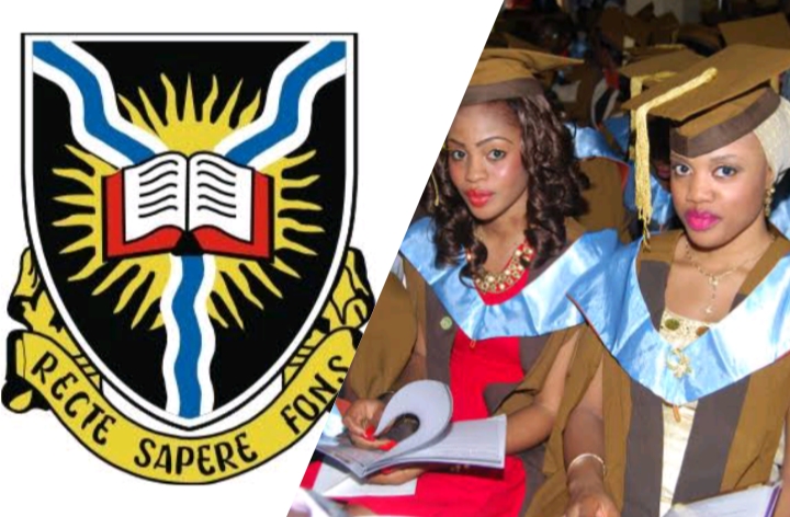 University Of Ibadan School Fees