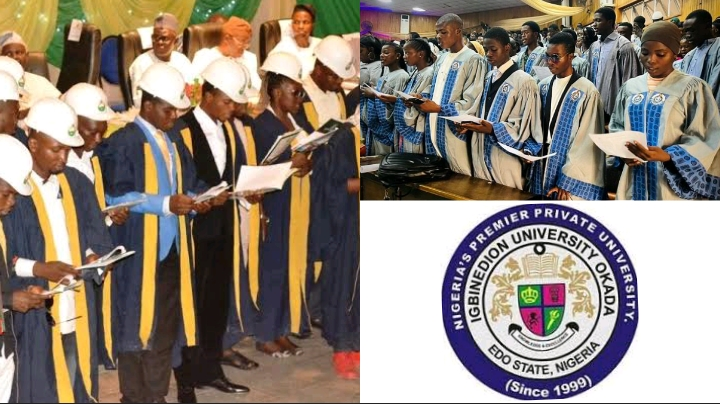 Igbinedion University School Fees For Software Engineering