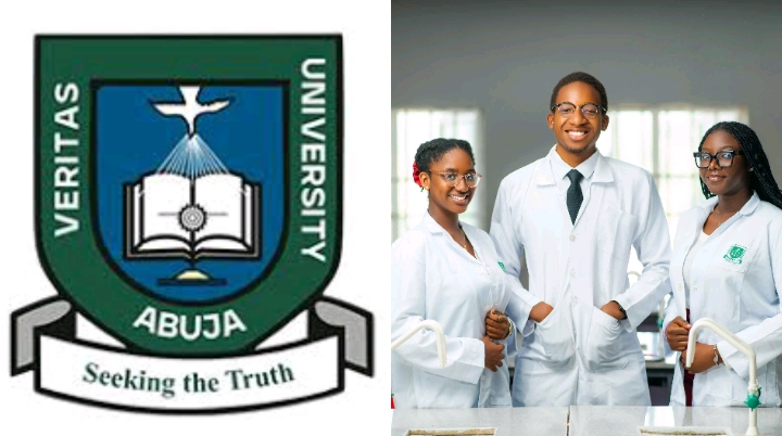 Veritas University School Fees Per Semester